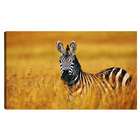 Quadro Decorativo Para Sala Quarto Escritorio 80x100cm Zebra