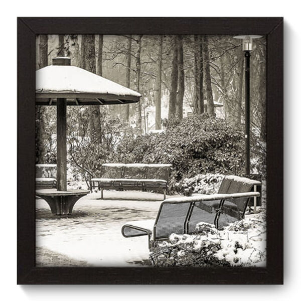 Quadro Decorativo - Parque - 22cm X 22cm - 137qnpap