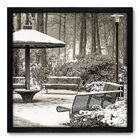 Quadro Decorativo - Parque - 50cm X 50cm - 137qnpcp