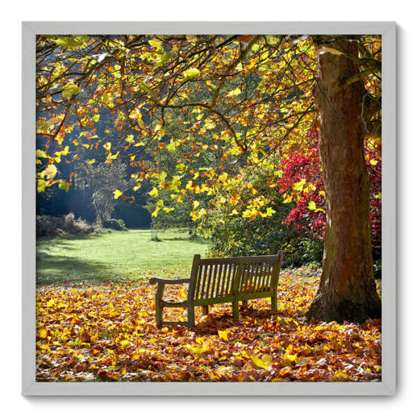 Quadro Decorativo - Parque - 70cm X 70cm - 010qnddb