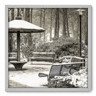 Quadro Decorativo - Parque - 70cm X 70cm - 137qnpdb