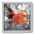 Quadro Decorativo - Passarinho - 33cm X 33cm - 206qdsb