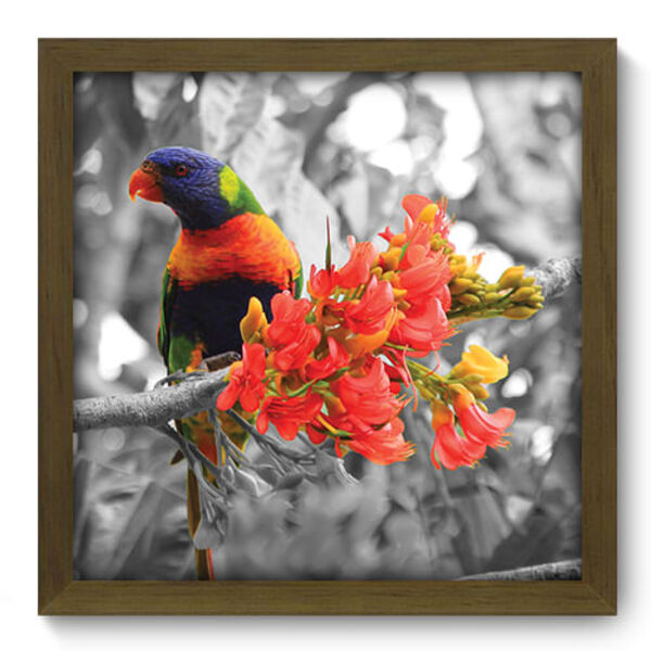 Quadro Decorativo - Passarinho - 33cm X 33cm - 206qdsm