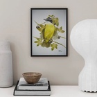 Quadro Decorativo Passarinho Bem Te Ví 33x24cm - Com Vidro Mo