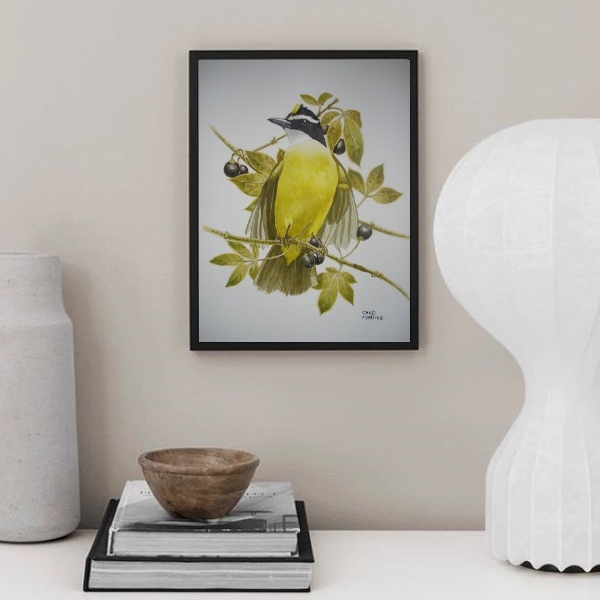 Quadro Decorativo Passarinho Bem Te Ví 33x24cm Moldura Branca