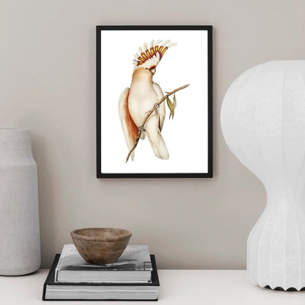 Quadro Decorativo Passarinho Cacatua 33x24cm Moldura Preta