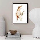 Quadro Decorativo Passarinho Cacatua 45x34cm Moldura Preta