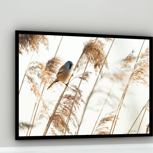 Quadro Decorativo Passarinho Ramo Bege  - 70x50cm Moldura Pre