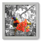 Quadro Decorativo - Pássaro - 22cm X 22cm - 009qnsab