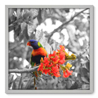 Quadro Decorativo - Pássaro - 70cm X 70cm - 009qnsdb