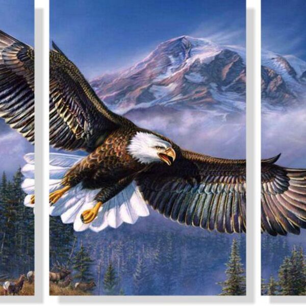 Quadro Decorativo Pássaro Águia 3 Peças