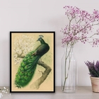 Quadro Decorativo Pássaro Pavão 24x18cm - Com Vidro Moldura:m