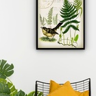 Quadro Decorativo Pássaro Samambaias Vintage  - 70x50cm Moldu