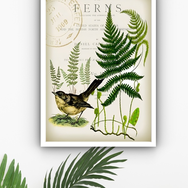 Quadro Decorativo Pássaro Samambaias Vintage  - 70x50cm Moldu