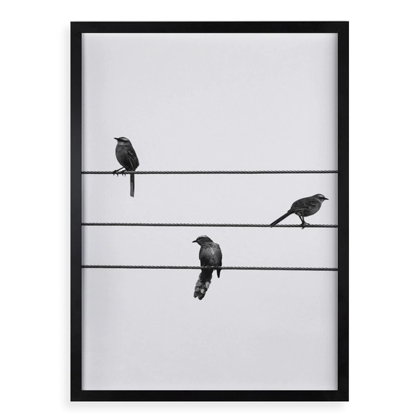Quadro Decorativo Pássaros No Fio 45x34cm - Com Vidro Moldura