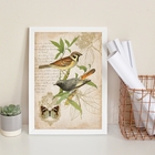 Quadro Decorativo Pássaros Vintage - Botânica 33x24cm Moldura