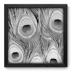Quadro Decorativo - Pavão - 33cm X 33cm - 180qdsp