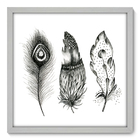 Quadro Decorativo - Penas - 50cm X 50cm - 036qndcb