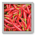 Quadro Decorativo - Pimenta - 33cm X 33cm - 204qdcb