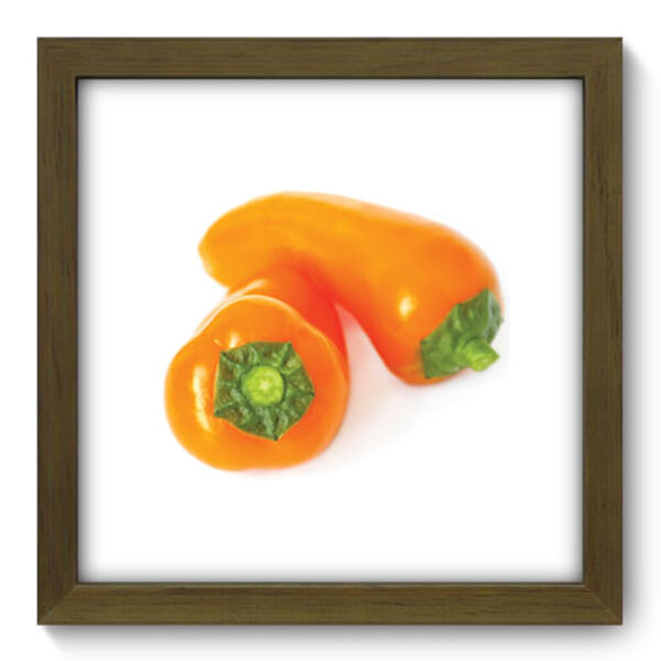 Quadro Decorativo - Pimentão - 22cm X 22cm - 111qdcm