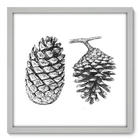 Quadro Decorativo - Pinha - 50cm X 50cm - 074qndcb