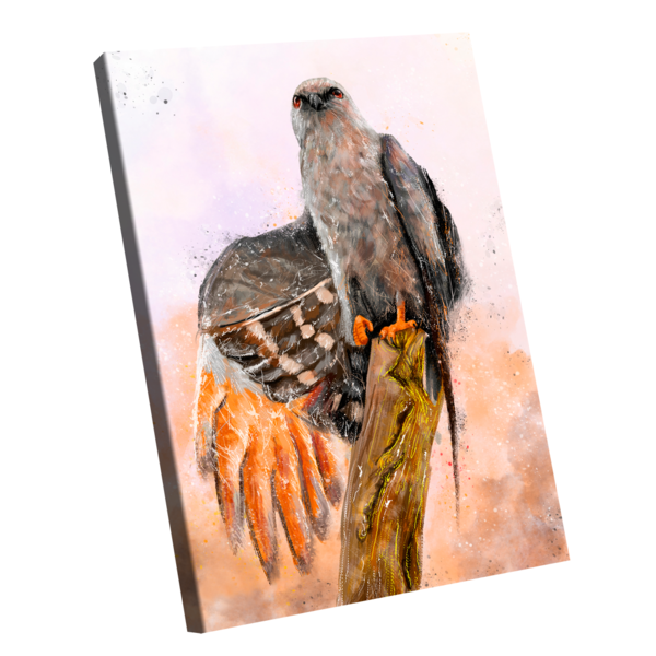 Quadro Decorativo Pintura Águia