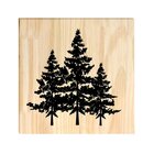 Quadro Decorativo Pinus Árvores Planta Escritório Sala Jardim