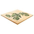 Quadro Decorativo Pinus Costela De Adao Jardim Plantas Folha