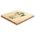 Quadro Decorativo Pinus Frase Motivação Suculentas Plantas Ve