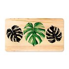 Quadro Decorativo Pinus Plantas Costela De Adão Folhas Verde