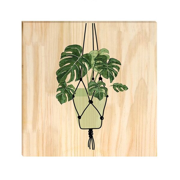 Quadro Decorativo Pinus Plantas Folhagens Verdes Jardim Folha