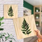 Quadro Decorativo Pinus Plantas Jardim Folhagens Para Sala Ha
