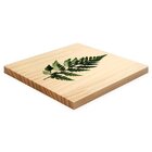 Quadro Decorativo Pinus Plantas Jardim Folhagens Para Sala Ha