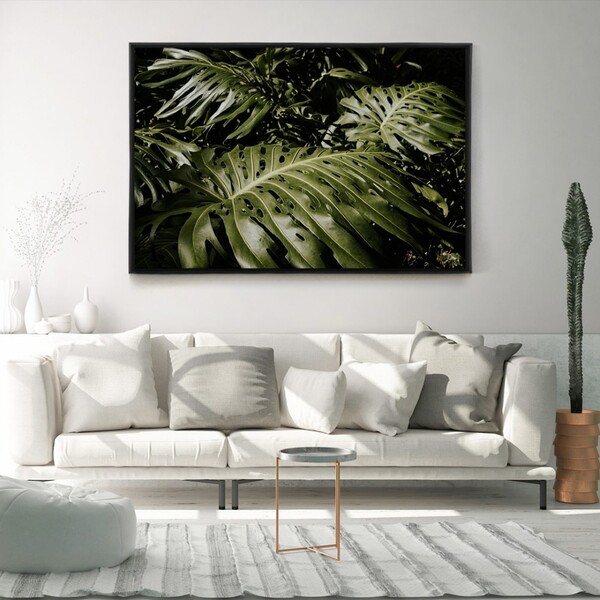 Quadro Decorativo Planta Costela De Adão Horizontal Com Moldu