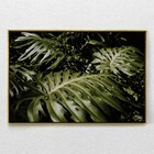 Quadro Decorativo Planta Costela De Adão Horizontal Com Moldu