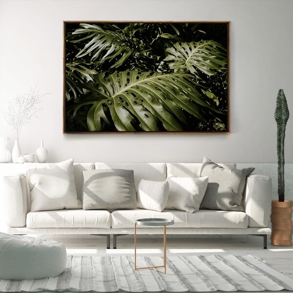 Quadro Decorativo Planta Costela De Adão Moderno Com Moldura