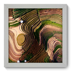 Quadro Decorativo - Plantação - 22cm X 22cm - 135qnpab