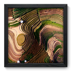 Quadro Decorativo - Plantação - 33cm X 33cm - 135qnpbp