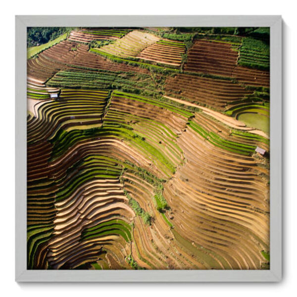 Quadro Decorativo - Plantação - 50cm X 50cm - 134qnpcb