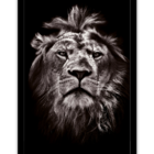 Quadro Decorativo Poderoso Leão 30x45 P/ Sala Quarto Empresa