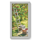 Quadro Decorativo - Pomar - 19cm X 34cm - 029qdcb