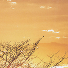 Quadro Decorativo Pôr do Sol 2 Preto com Vidro 50x70cm Arte Própria