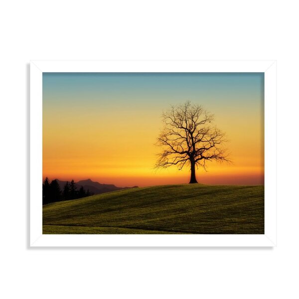 Quadro Decorativo Por Do Sol Horizonte