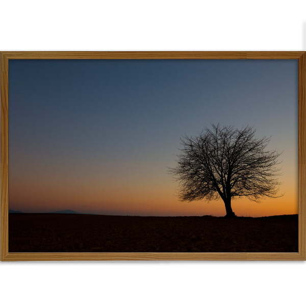 Quadro Decorativo Pôr Do Sol Ii Moldura Sem Vidro Marrom