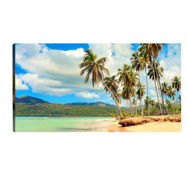 Quadro Decorativo Praia Coqueiros 55x100 Cm