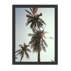 Quadro Decorativo Praiana