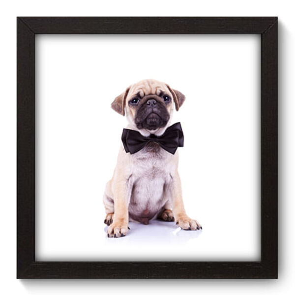 Quadro Decorativo - Pug - 22cm X 22cm - 007qnsap