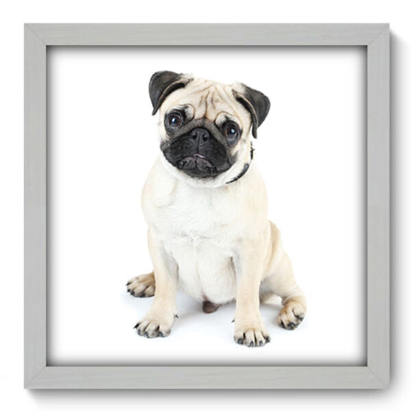 Quadro Decorativo - Pug - 33cm X 33cm - 097qdsb
