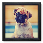Quadro Decorativo - Pug - 33cm X 33cm - 111qdsp