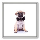 Quadro Decorativo - Pug - 70cm X 70cm - 007qnsdb